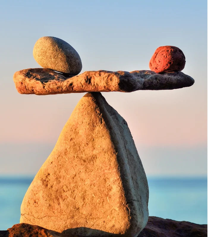 Wellness Care In Fort Mill